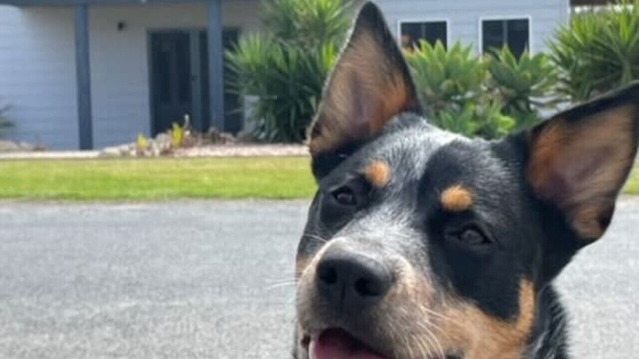 Photo of Outdoor in Goolwa Beach
