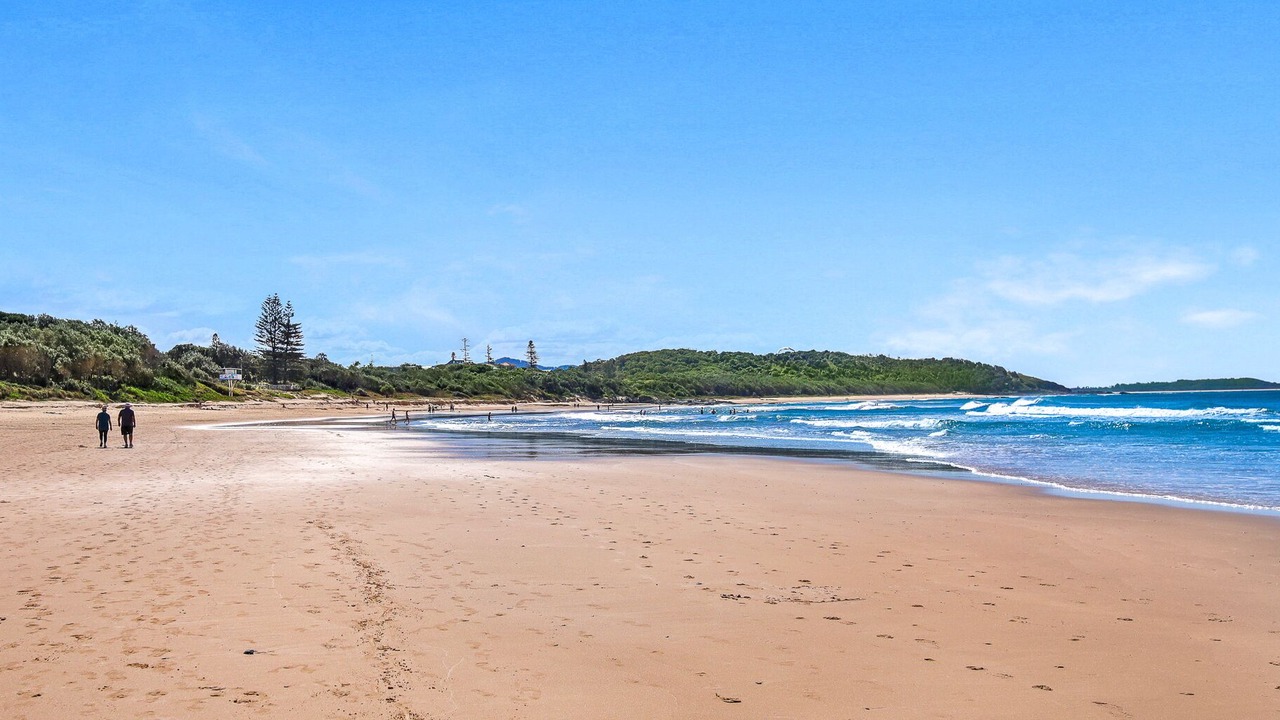 Photo of Others in Boambee East