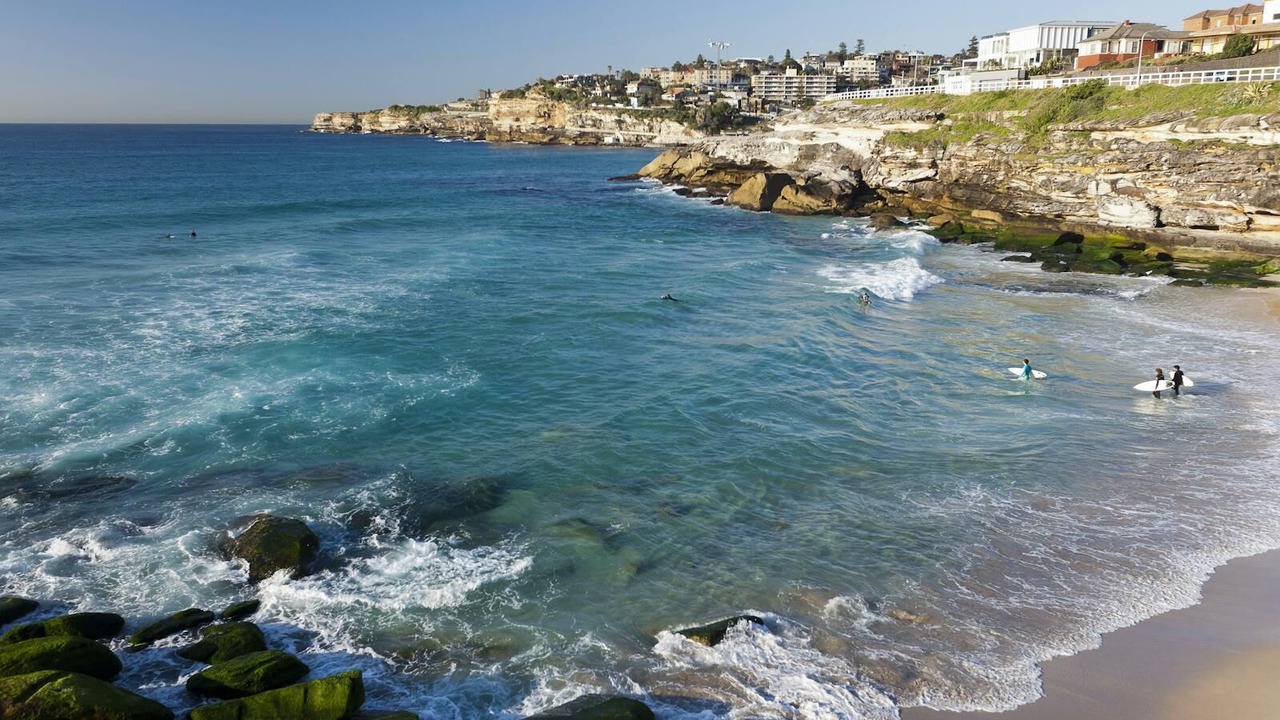 Photo of Others in Tamarama