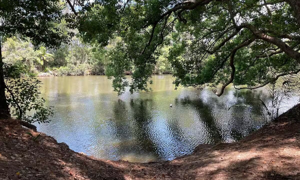 Photo of Others in Maroochy River