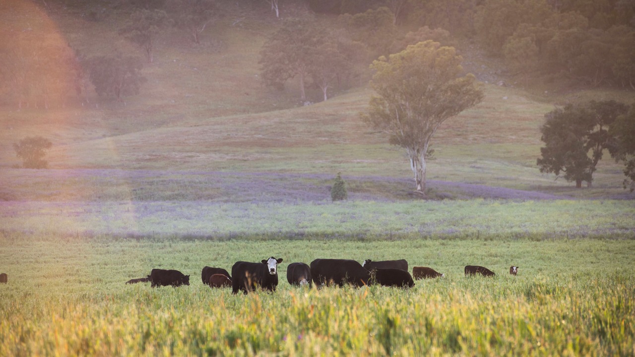 Photo of Others in Milroy