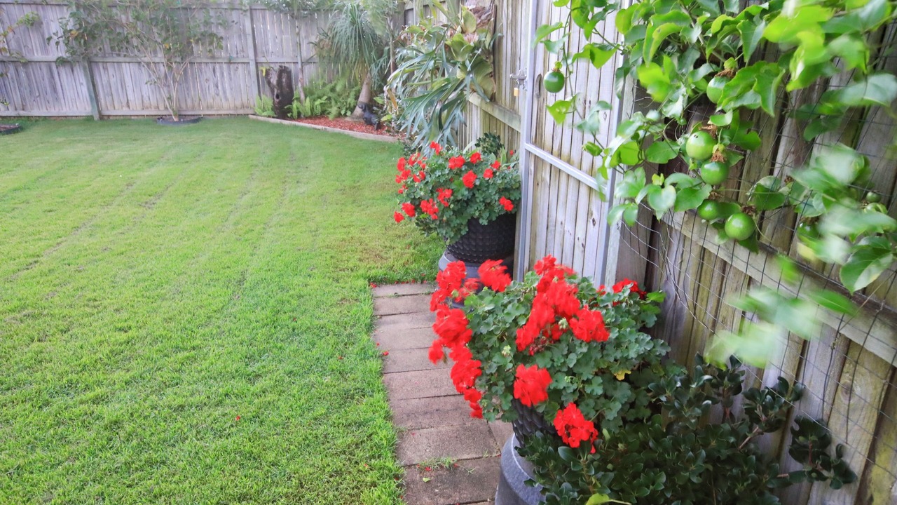 Photo of Outdoor in Svensson Heights