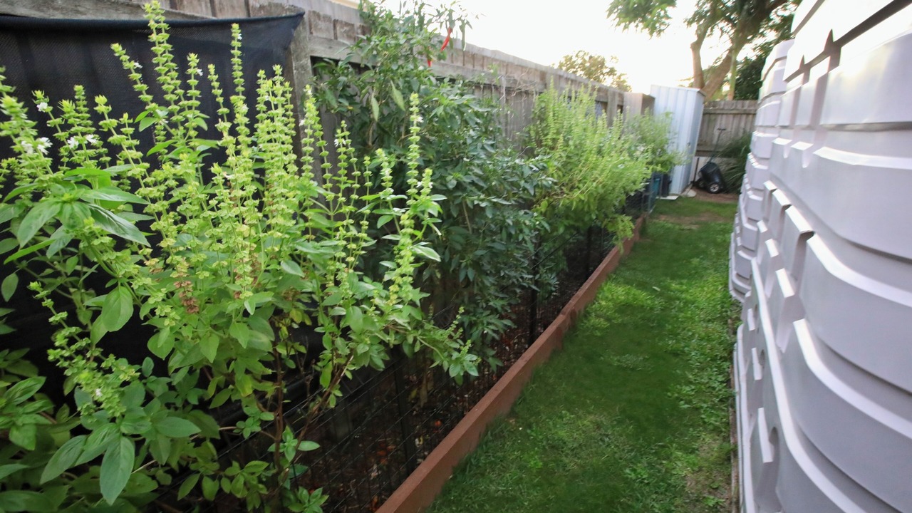 Photo of Outdoor in Svensson Heights