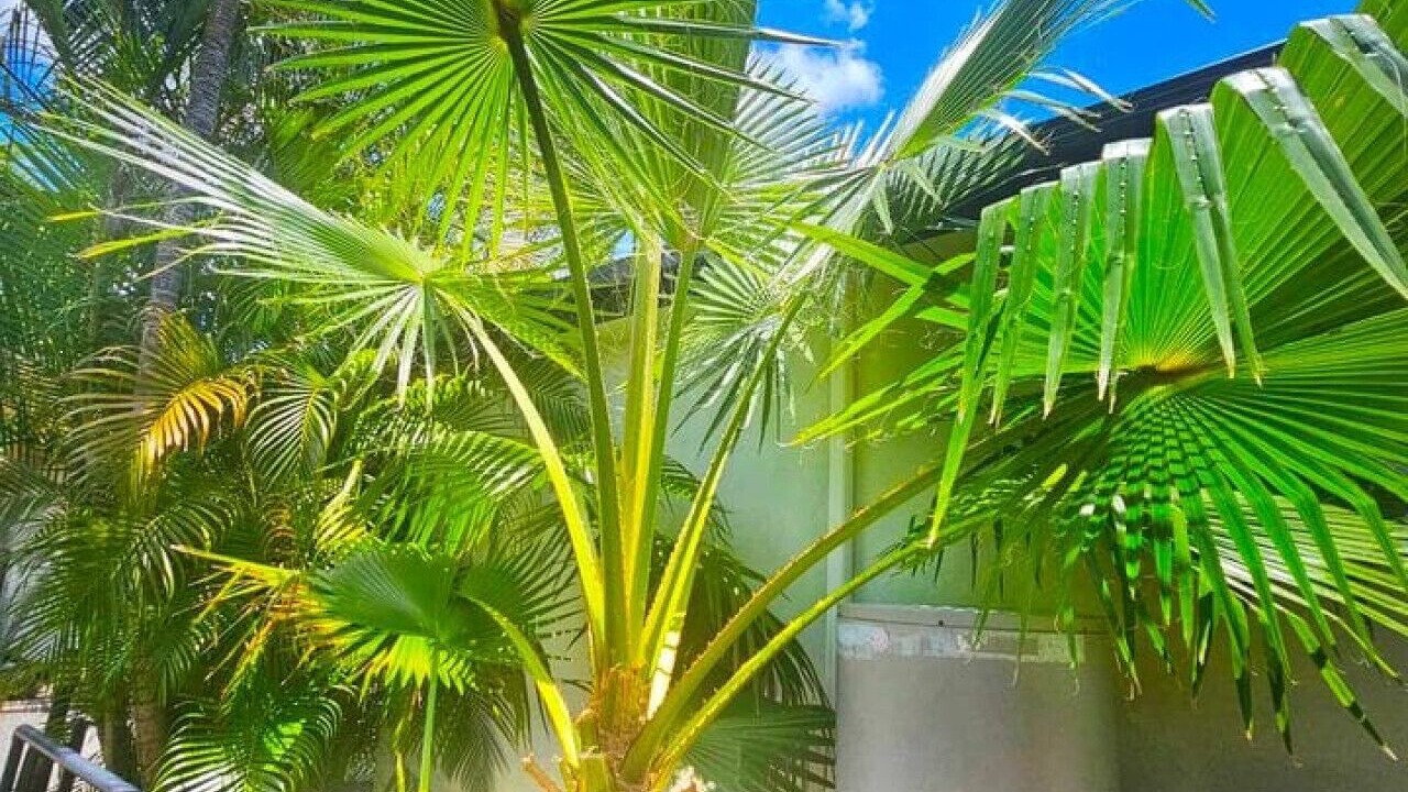 Photo of Outdoor in Emerald