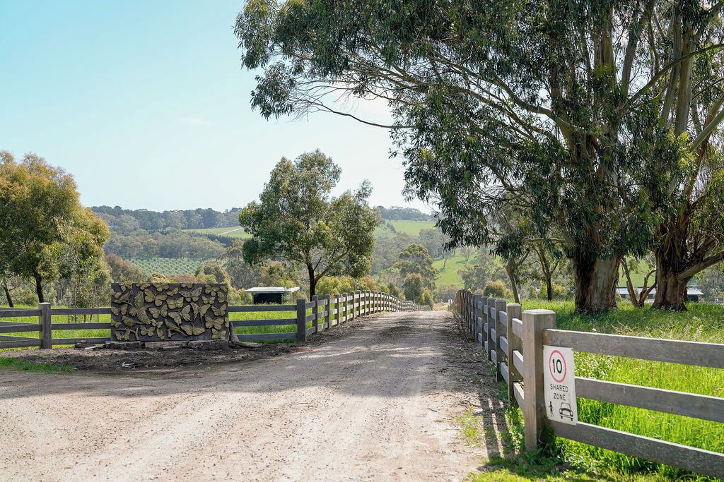 Photo of Others in Main Ridge