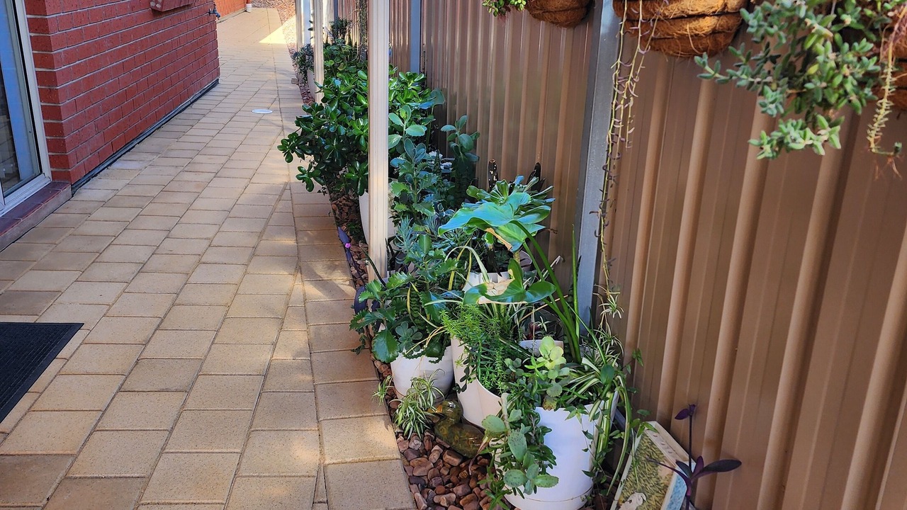 Photo of Outdoor in Goolwa