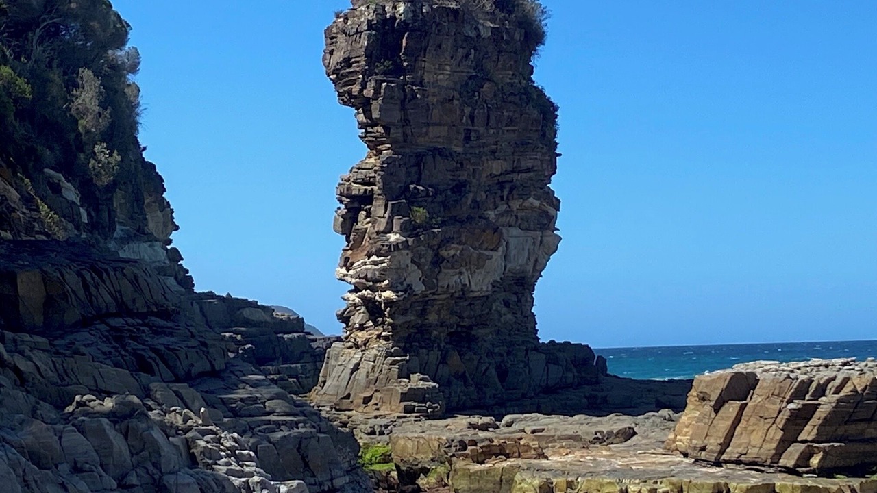 Photo of Others in North Coast