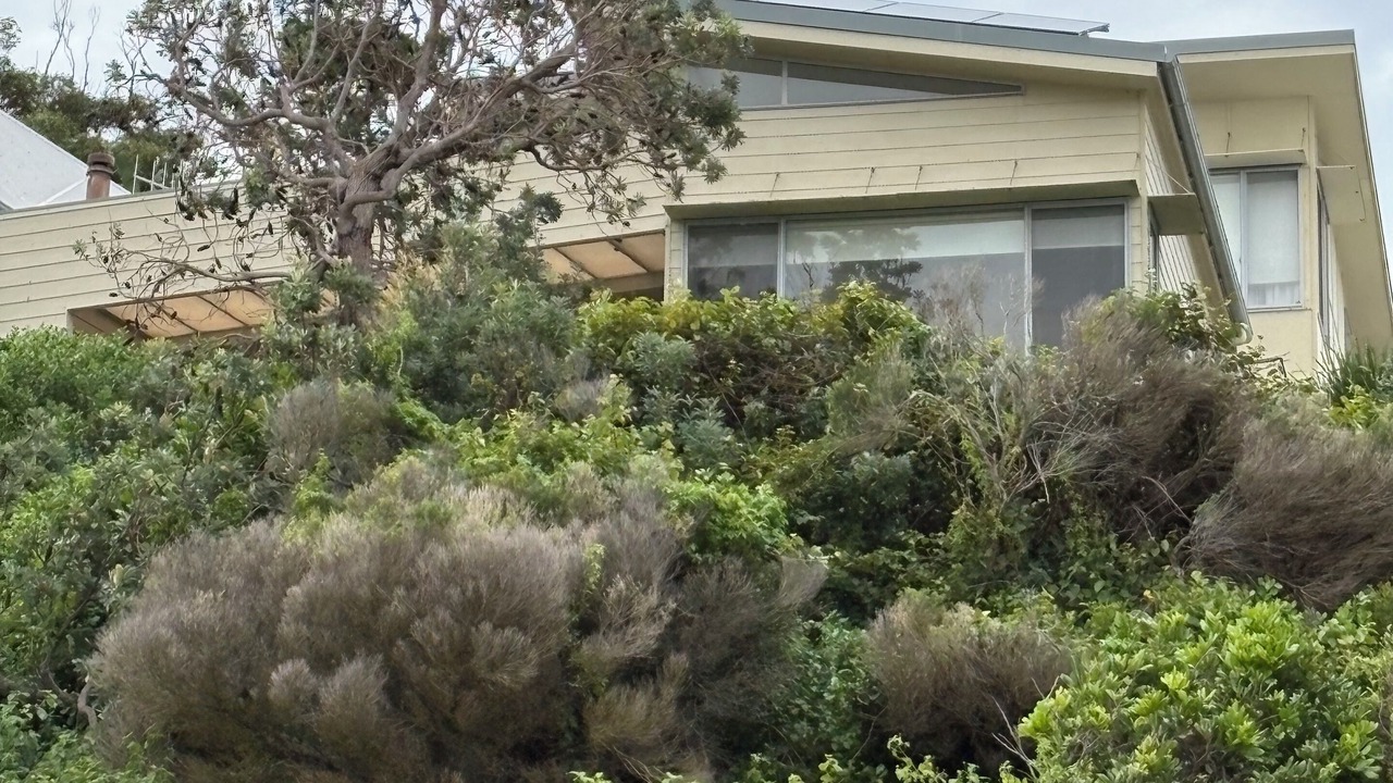 Photo of Outdoor in North Coast