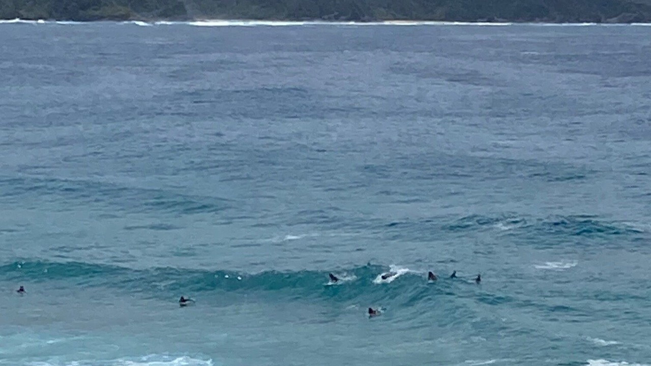 Photo of Others in North Coast