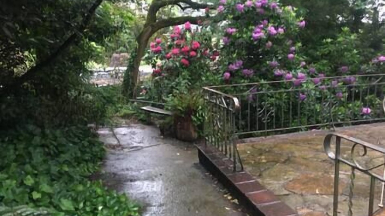 Photo of Others in Kalorama