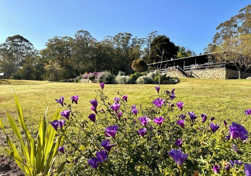 Photo of Outdoor in Wollombi
