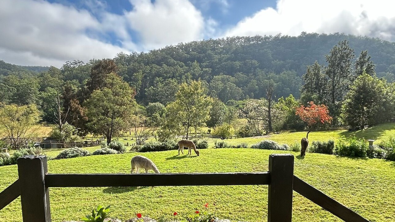 Photo of Outdoor in Wollombi
