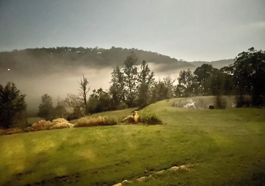 Photo of Others in Wollombi