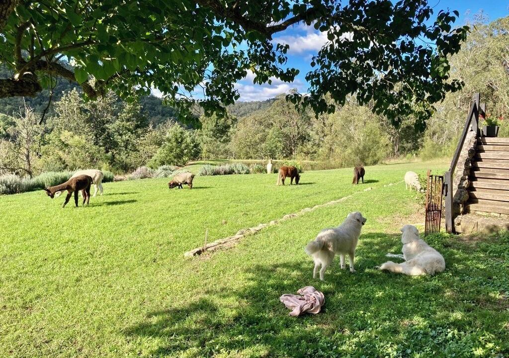 Photo of Outdoor in Wollombi