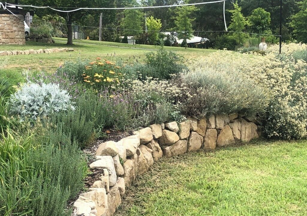 Photo of Outdoor in Wollombi