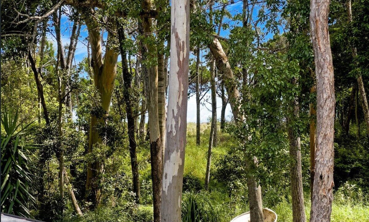 Photo of Outdoor in Toogoom
