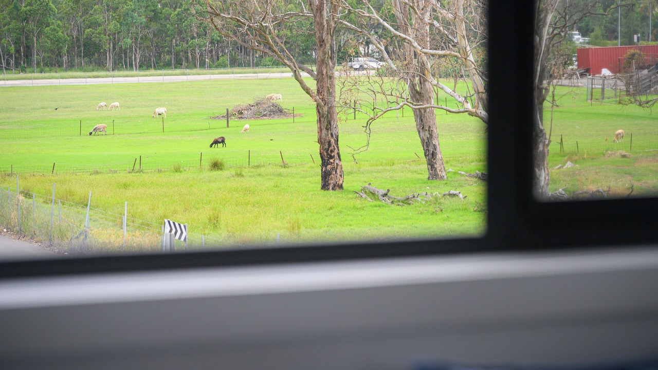 Photo of Others in Austral
