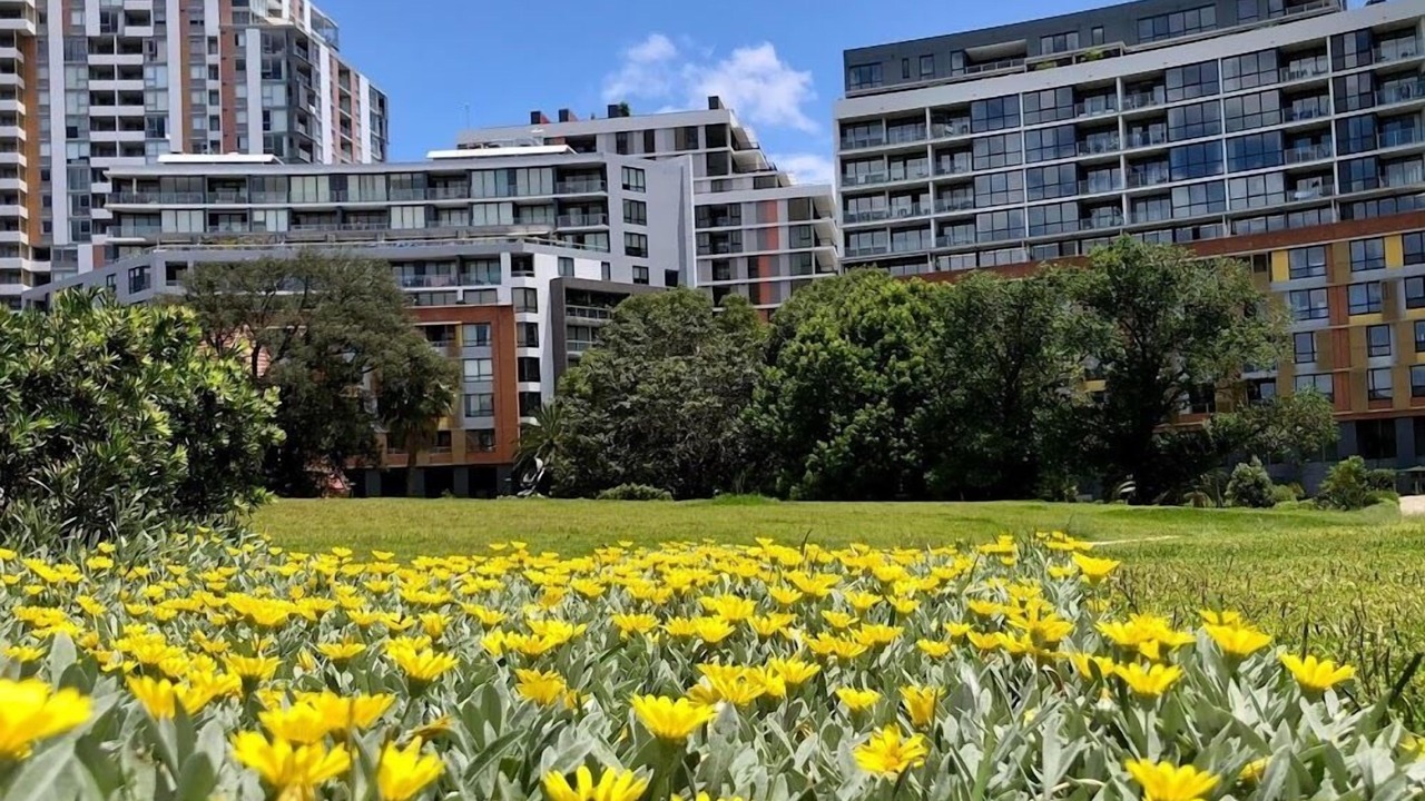 Photo of Outdoor in Wolli Creek