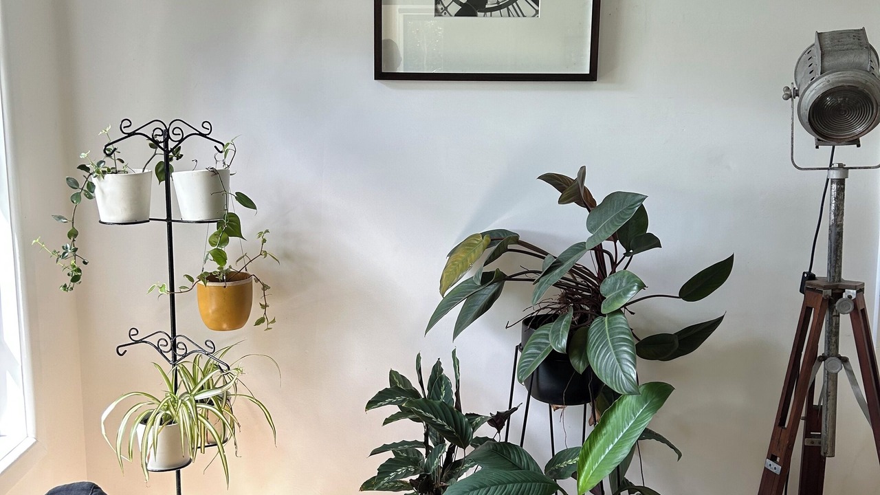 Photo of Livingroom in Myocum