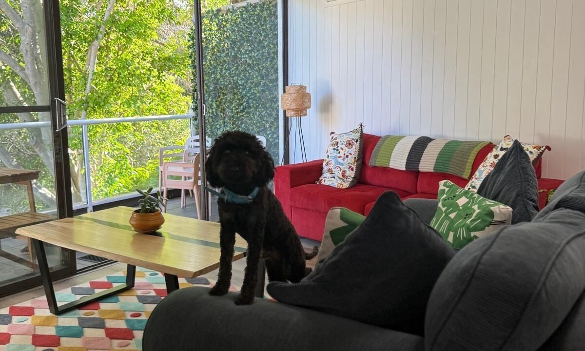 Photo of Livingroom in Bulli