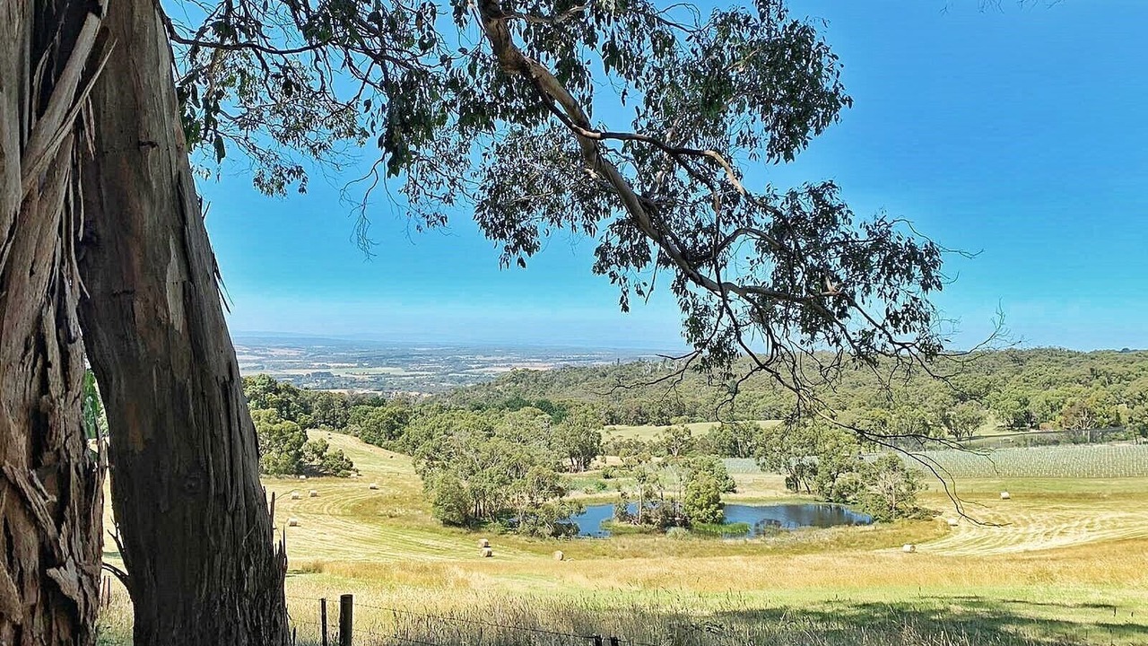 Photo of Others in Red Hill