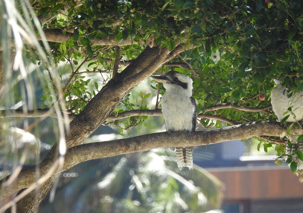 Photo of Others in Bundeena