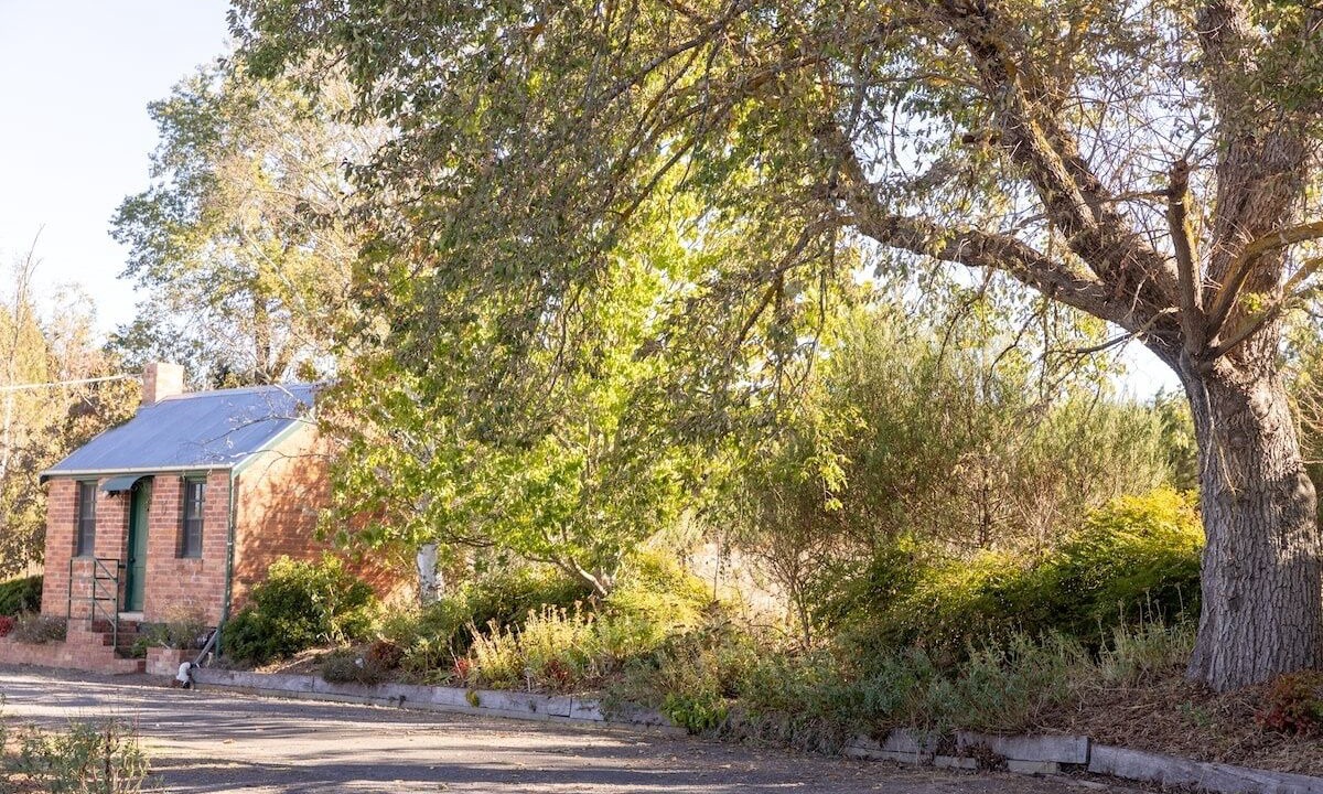 Photo of Outdoor in Taradale