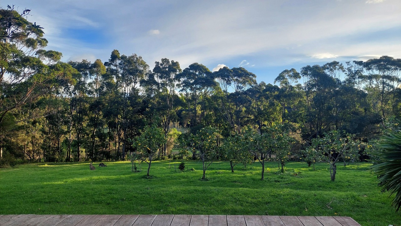Photo of Others in Bermagui