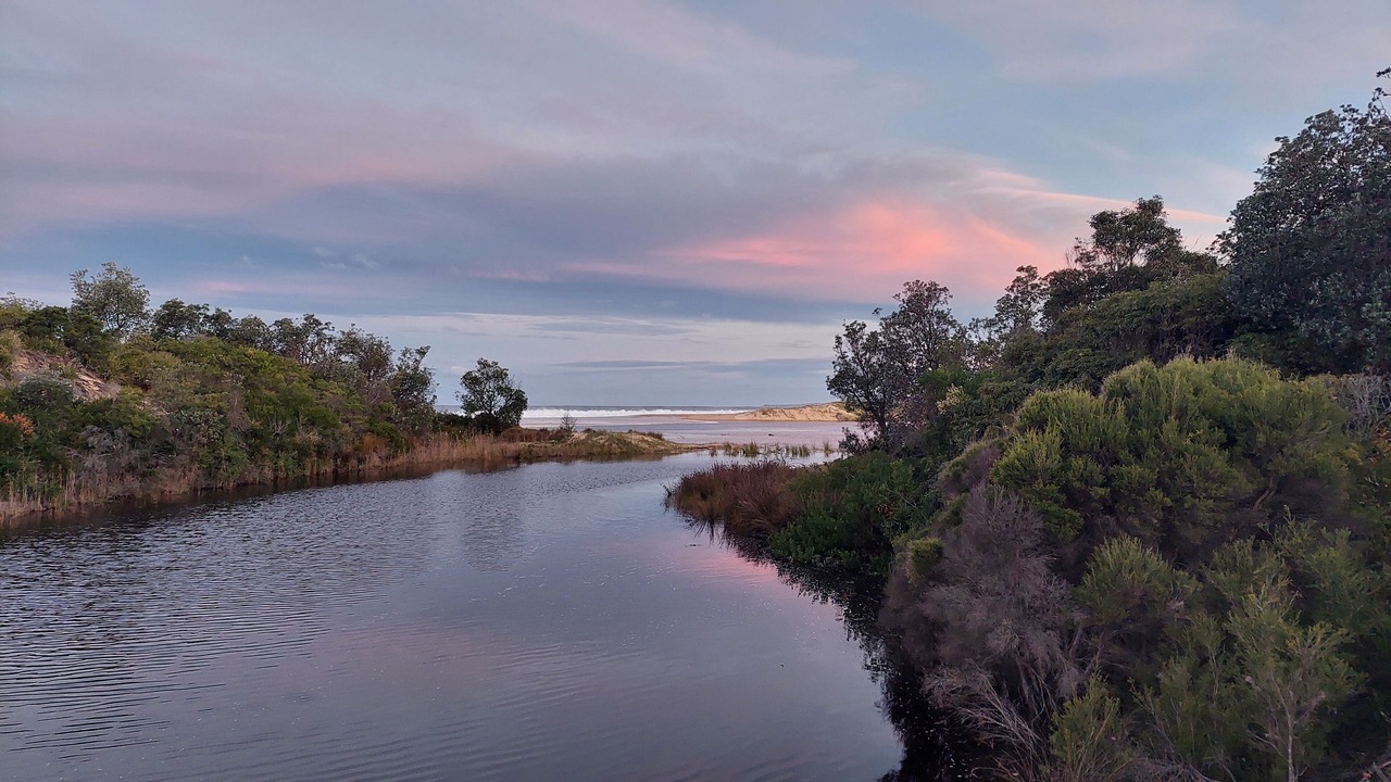 Photo of Others in Bermagui