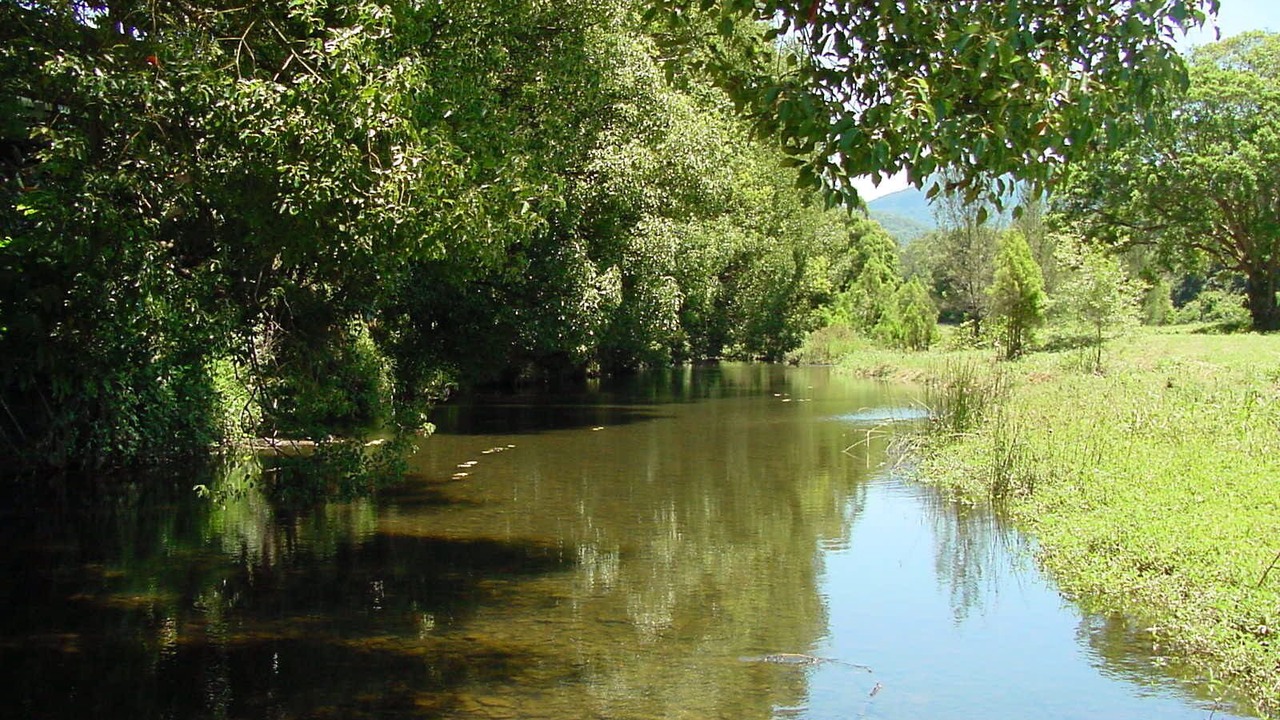 Photo of Others in Crystal Creek