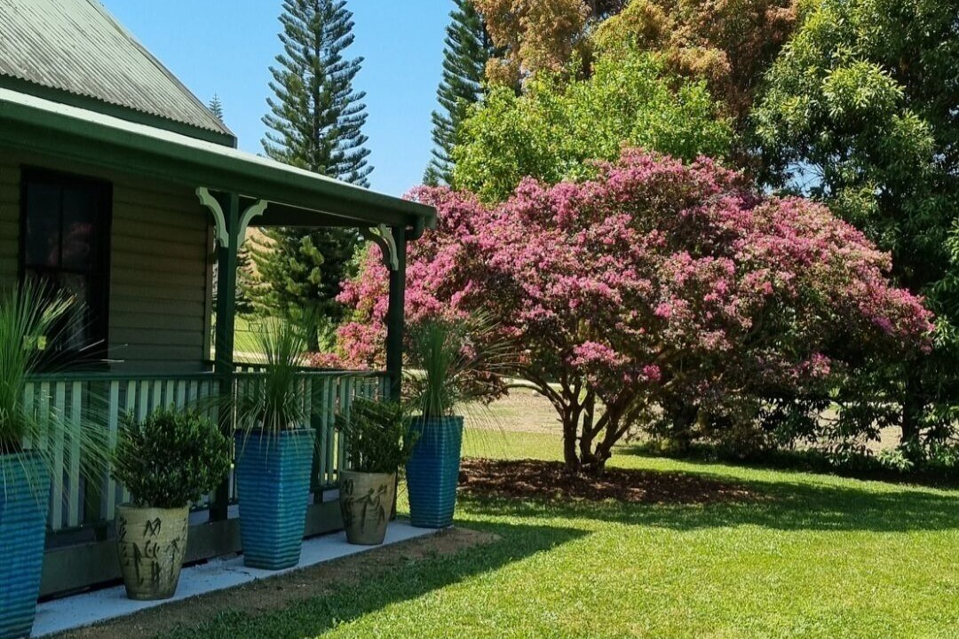 Photo of Outdoor in Crystal Creek