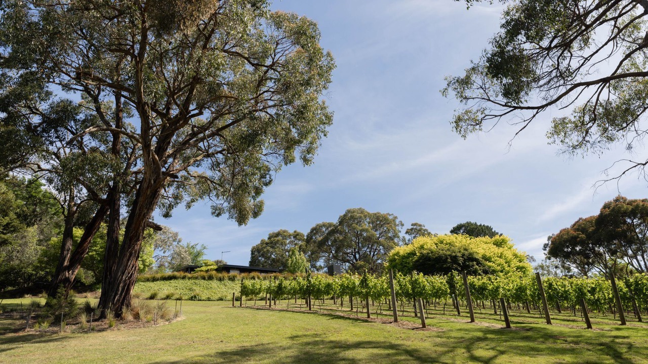 Photo of Others in Red Hill South