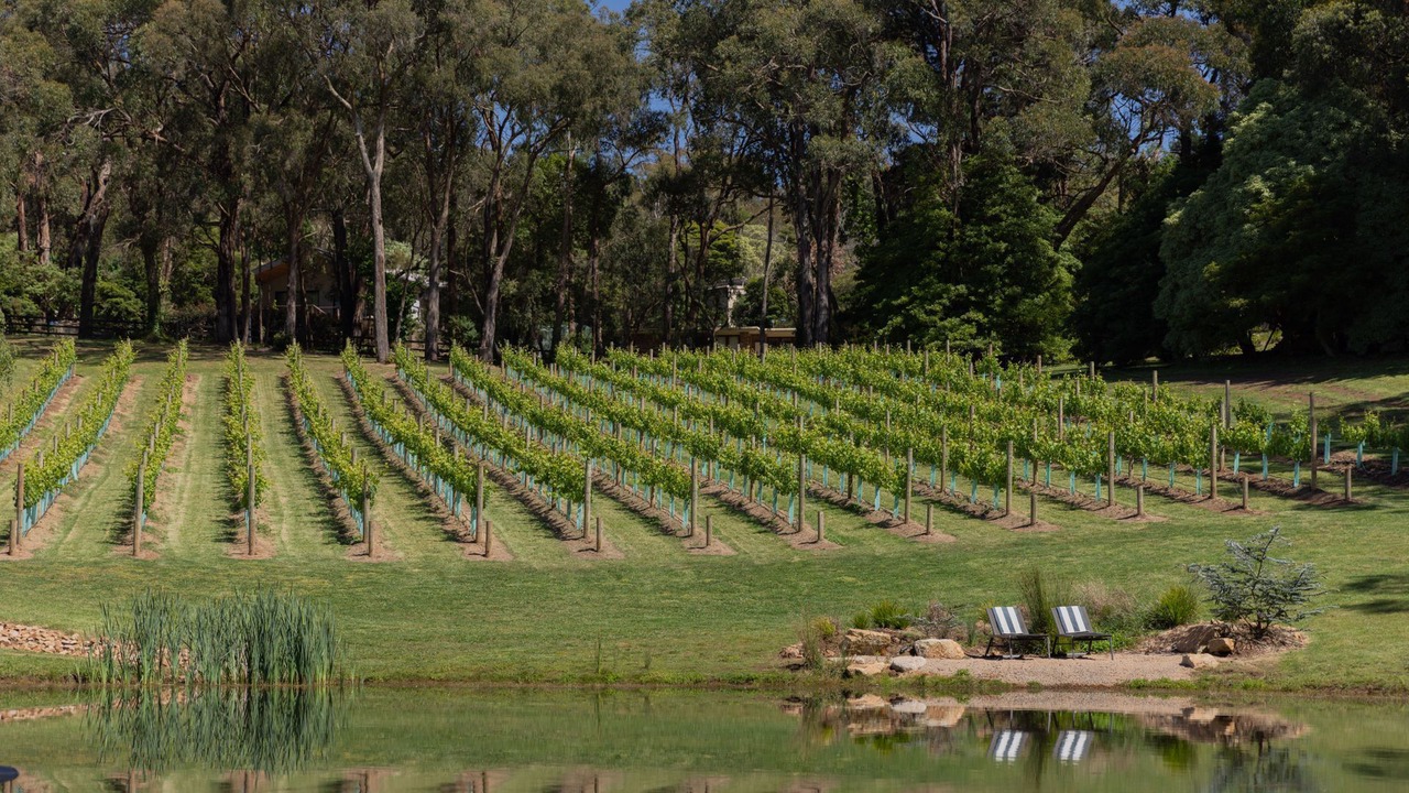 Photo of Others in Red Hill South