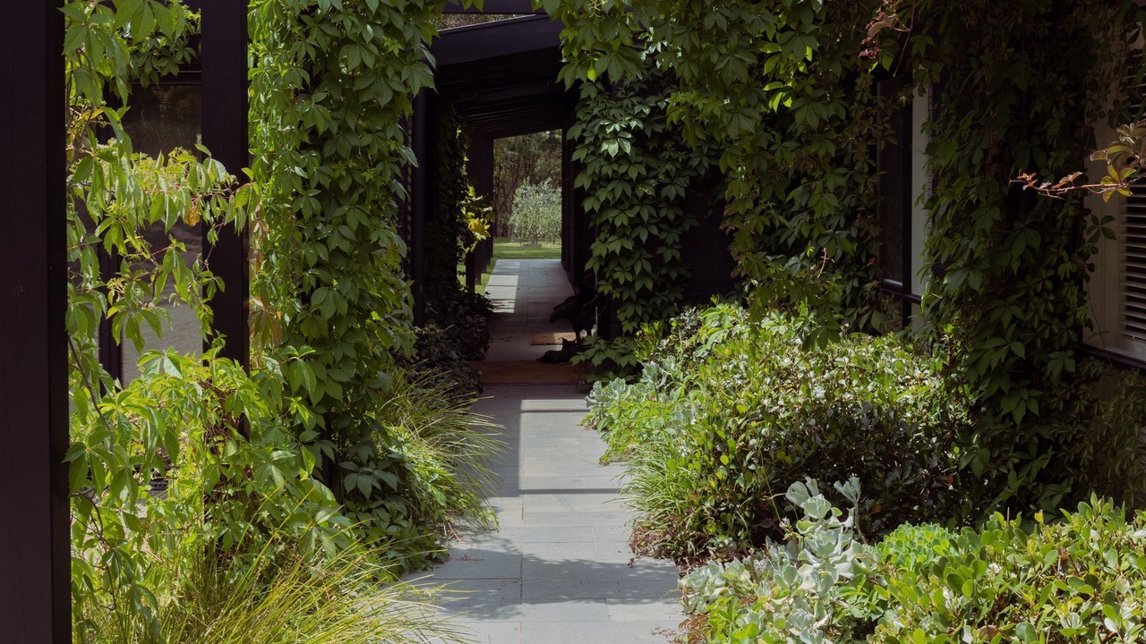 Photo of Outdoor in Red Hill South