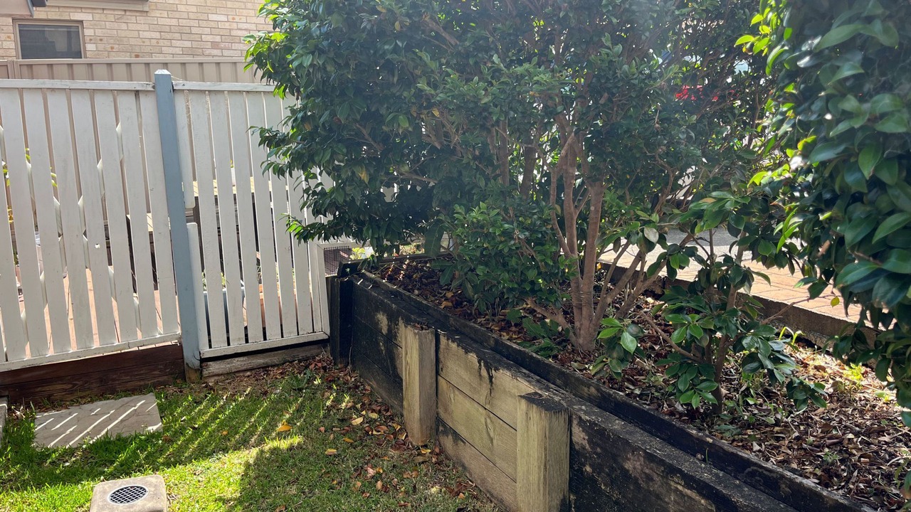 Photo of Outdoor in Shellharbour