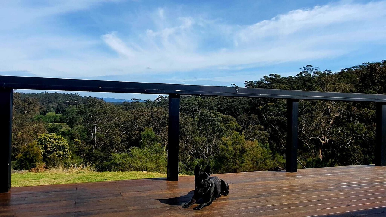 Photo of Patio Balcony in South Maroota