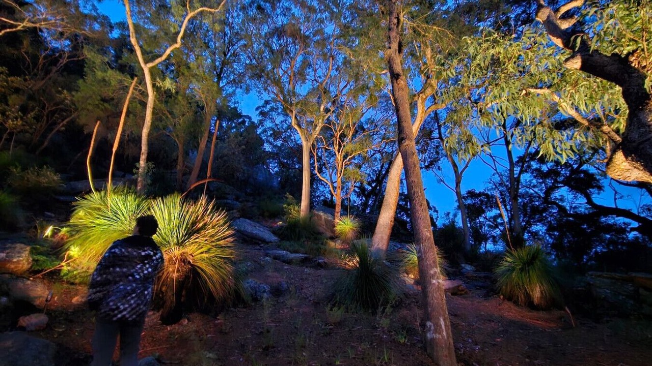 Photo of Others in Sydney