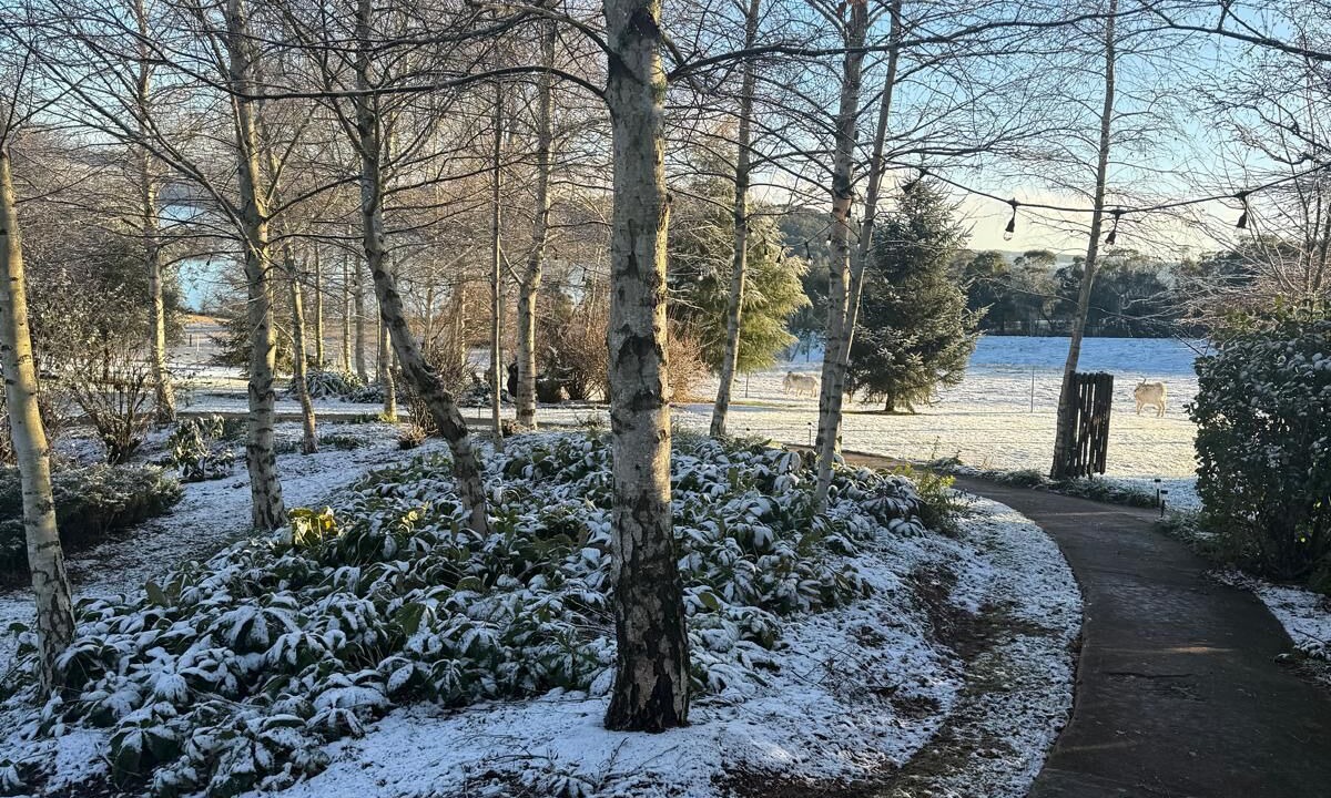Photo of Others in Oberon