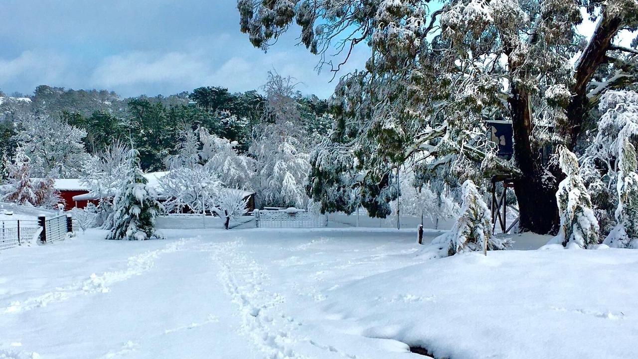 Photo of Others in Oberon