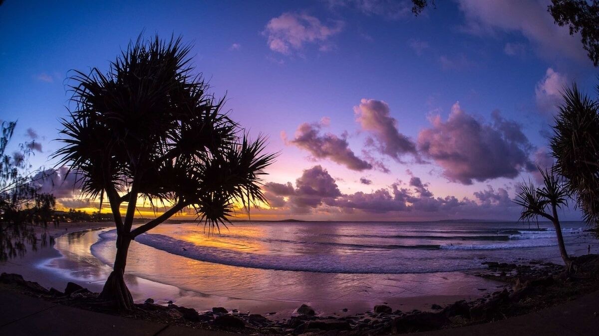 Photo of Others in Noosa Heads