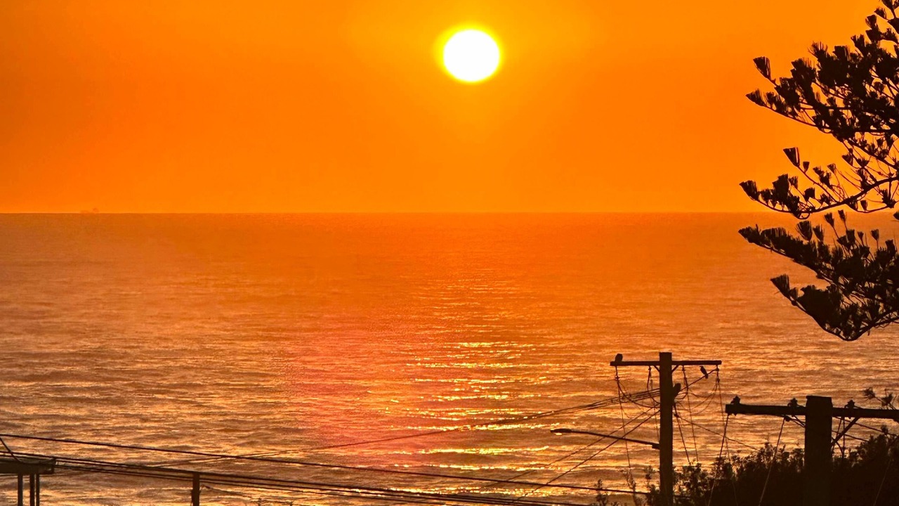 Photo of Others in Wamberal