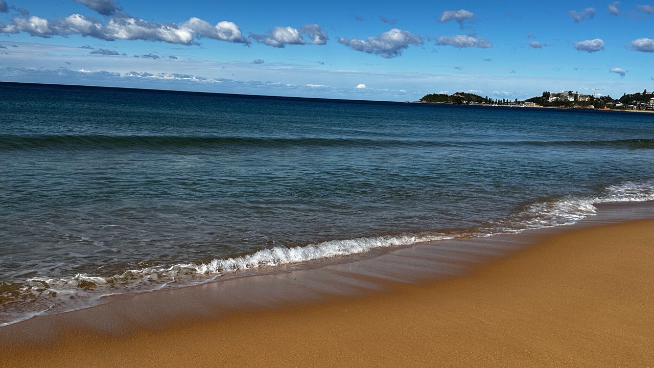 Photo of Others in Wamberal