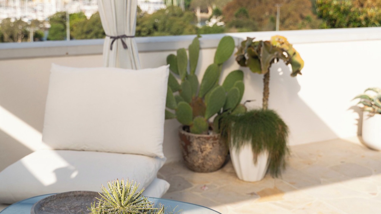 Photo of Patio Balcony in Rushcutters Bay