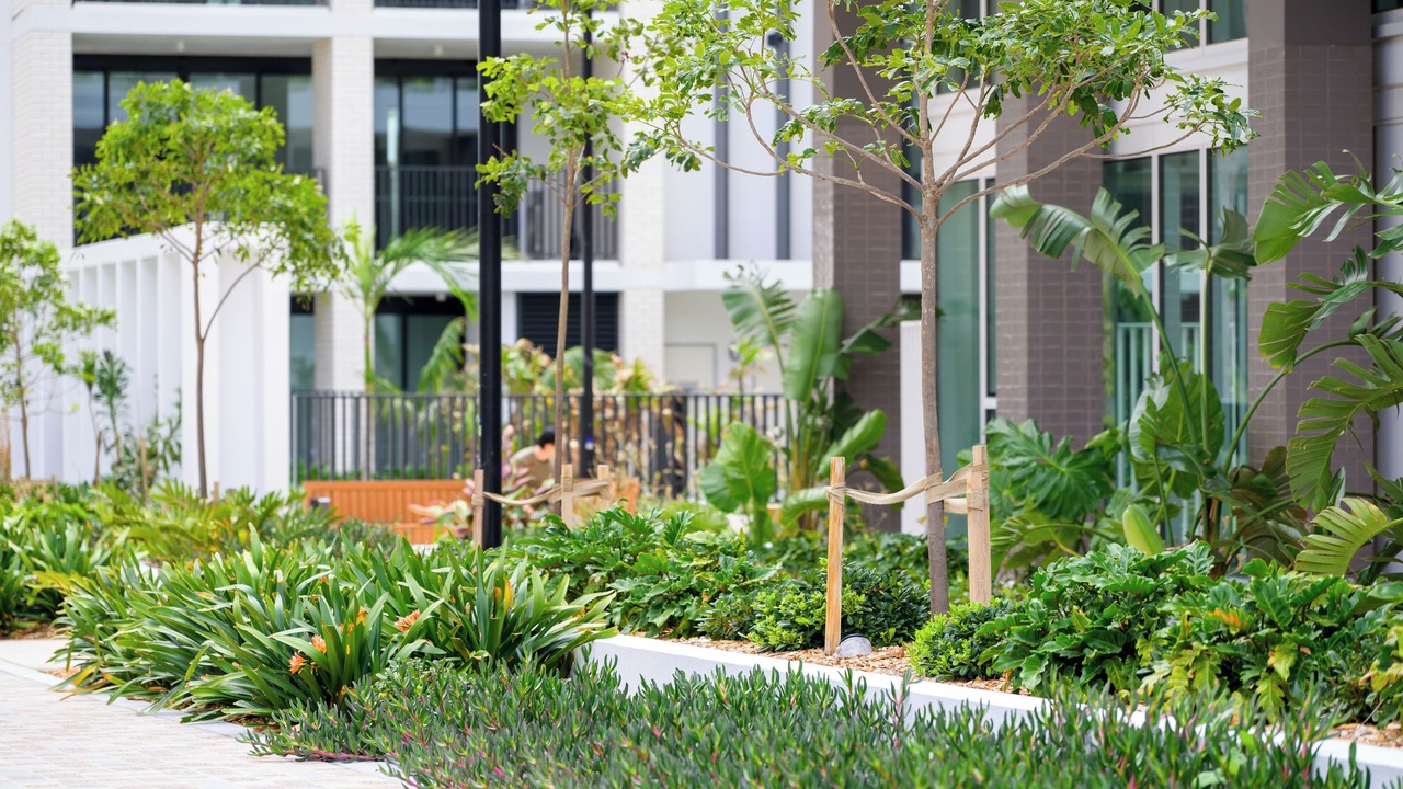 Photo of Outdoor in Lidcombe