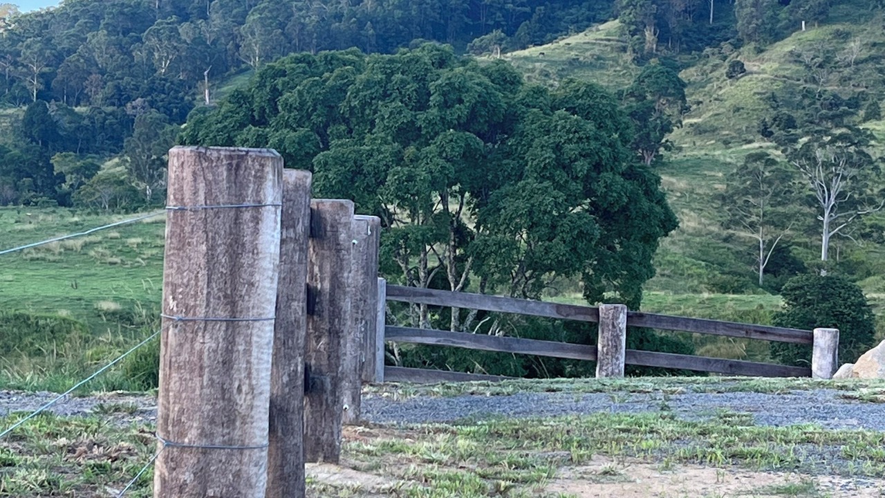 Photo of Others in Conondale
