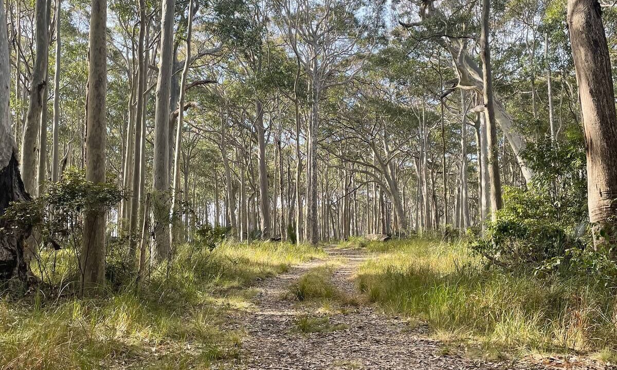 Photo of Others in Mystery Bay