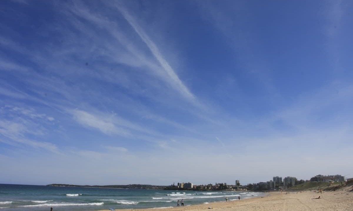 Photo of Others in Cronulla