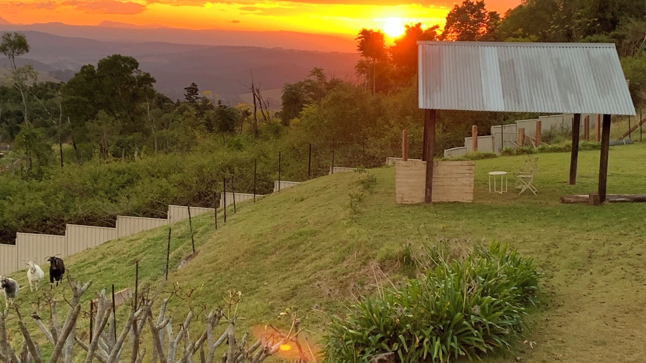 Photo of Outdoor in Mallanganee
