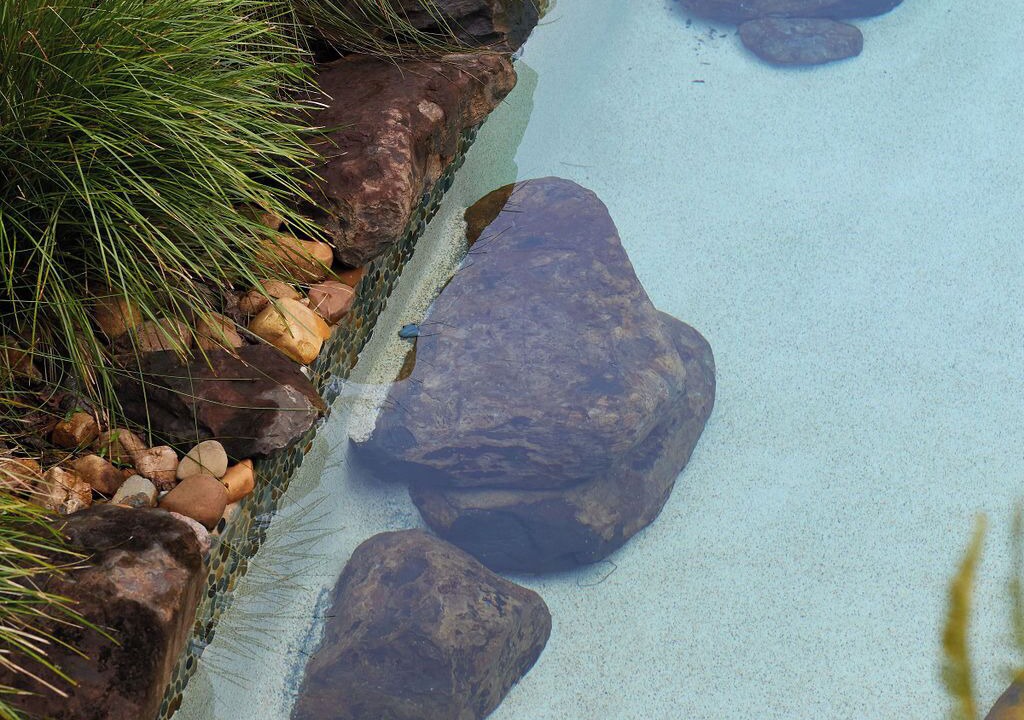 Photo of Outdoor in Murwillumbah