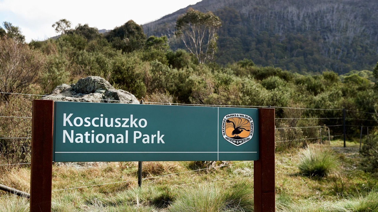 Photo of Others in Perisher Valley
